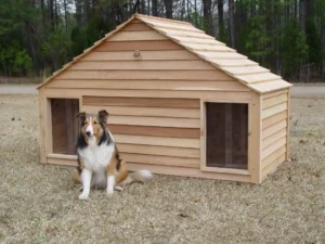 Custom Dog Houses for Large Dogs